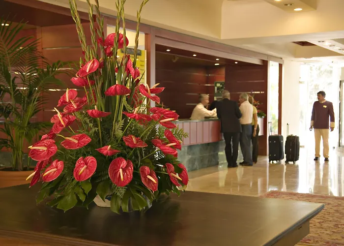 Bahia Principe Sunlight San Felipe 4* Puerto de la Cruz (Tenerife)